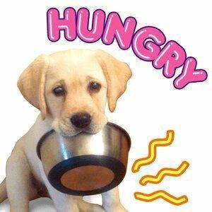 Meet your Posher, Abel